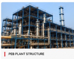 PEB Plant Structure